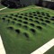 Wave Ground