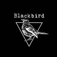 MartioBlackbird