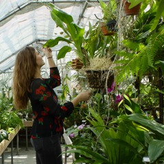 Alexis Lauren Davenport