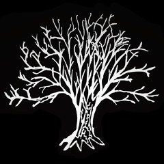 Stone Tree Studios