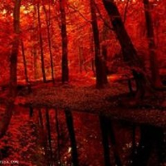 Jose David Ocampo Mendoza