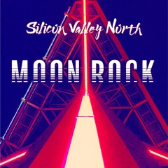 Silicon Valley North
