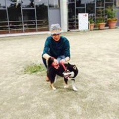 Shohei  Mizutani