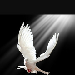 The voice of the spirit