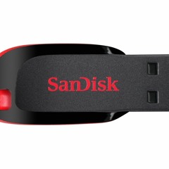 LIL SANDISK