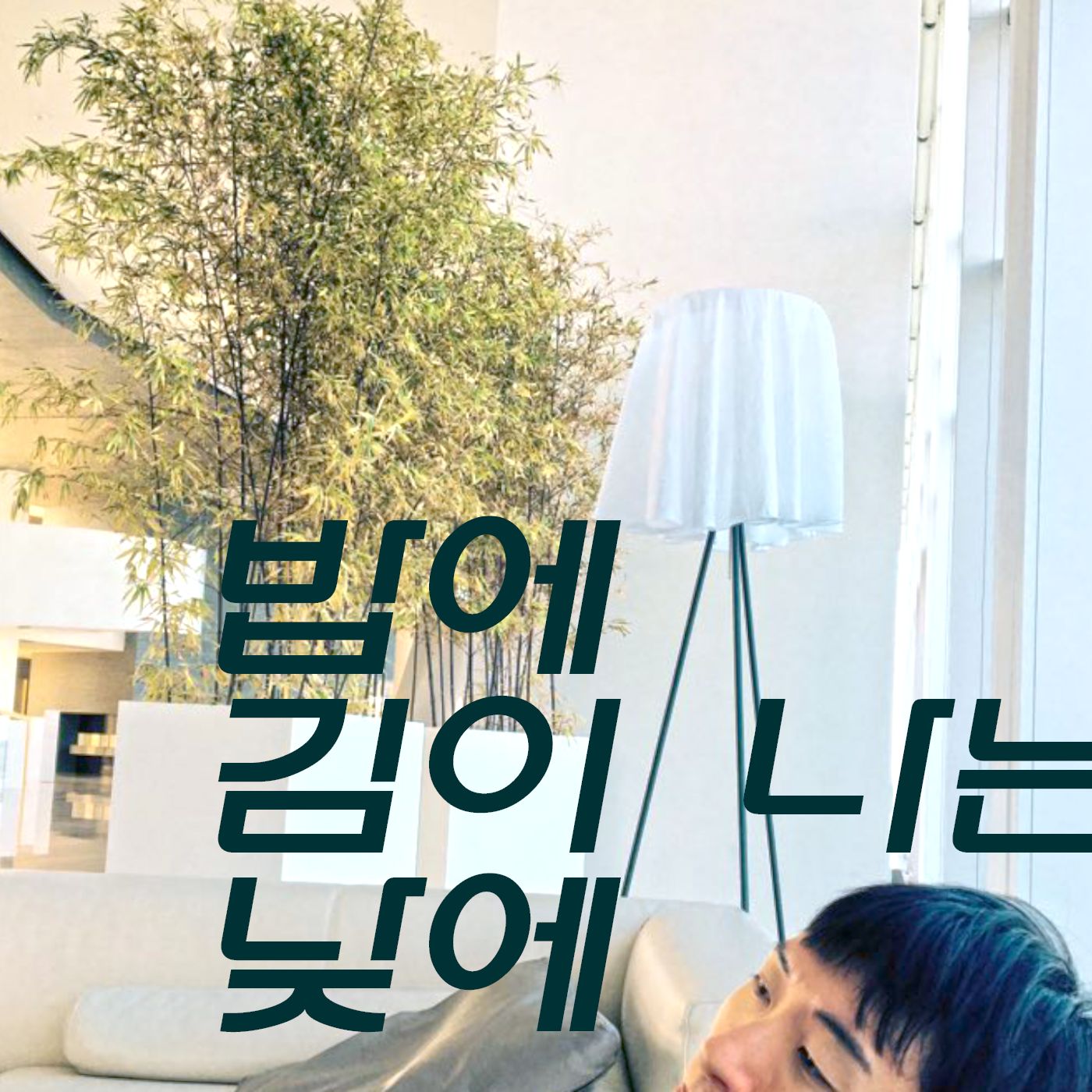밥에 김이 나는 낮에