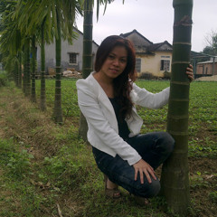 HOÀNG ANH LÊ