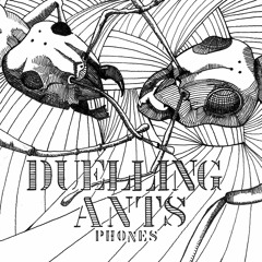 Duelling Ants