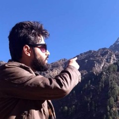 Zulfi