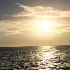 lence-soeren
