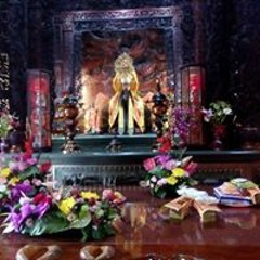 黃白目