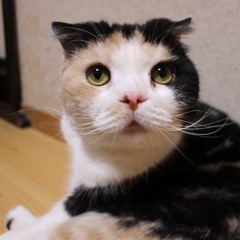 hanachan