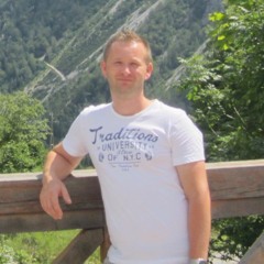miroslav mitrovic