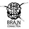 Brain Connection 1978