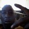 Darrell Howard