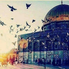 عبدالرحمن الغوطي