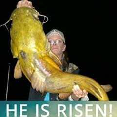 Amanda Houston Fegenbush