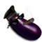 Corpral Eggplant