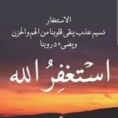 Alaa Younis