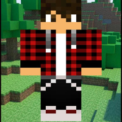 Ninja919Gaming VLOGGER