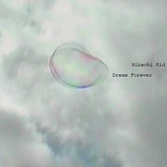 Hibachi Kid 火グリル子