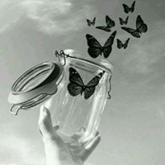 Manar Mohey