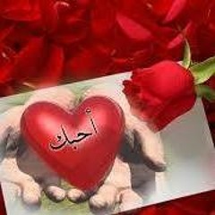 مصطفي عبداللاه