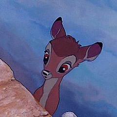 GÖNNDEER™