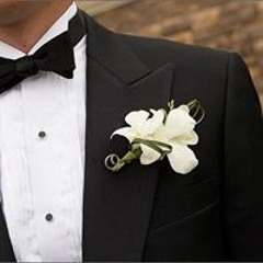 سليم بن بوزيان