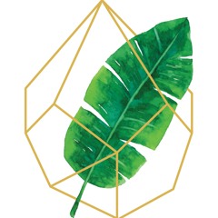 *house of foliage*