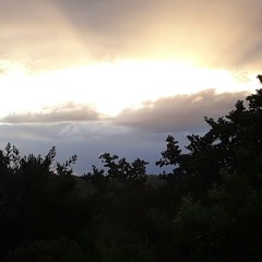 uk underground 2🕳️25