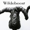 Wildebeest
