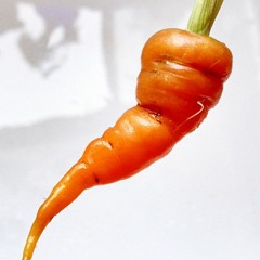 Lil Carrot