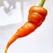 Lil Carrot