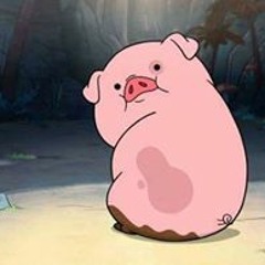 김동욱