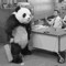 The Designated Panda