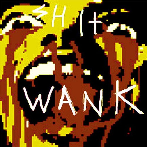 SHIT WANK RECORDS’s avatar