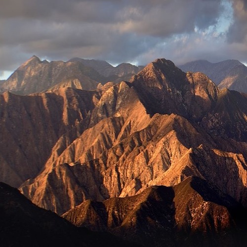 Trance Wizard AD 2014