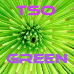 the TSO and his milf