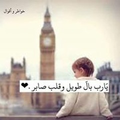 احمد المحجوب احمد