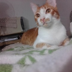 LOUISINE
