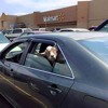 through-the-glass-stonesour-goat-in-a-car