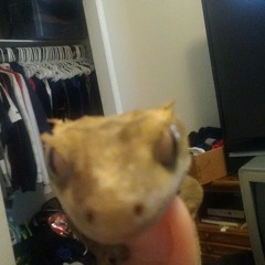 Corys Father