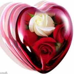 Amal AL