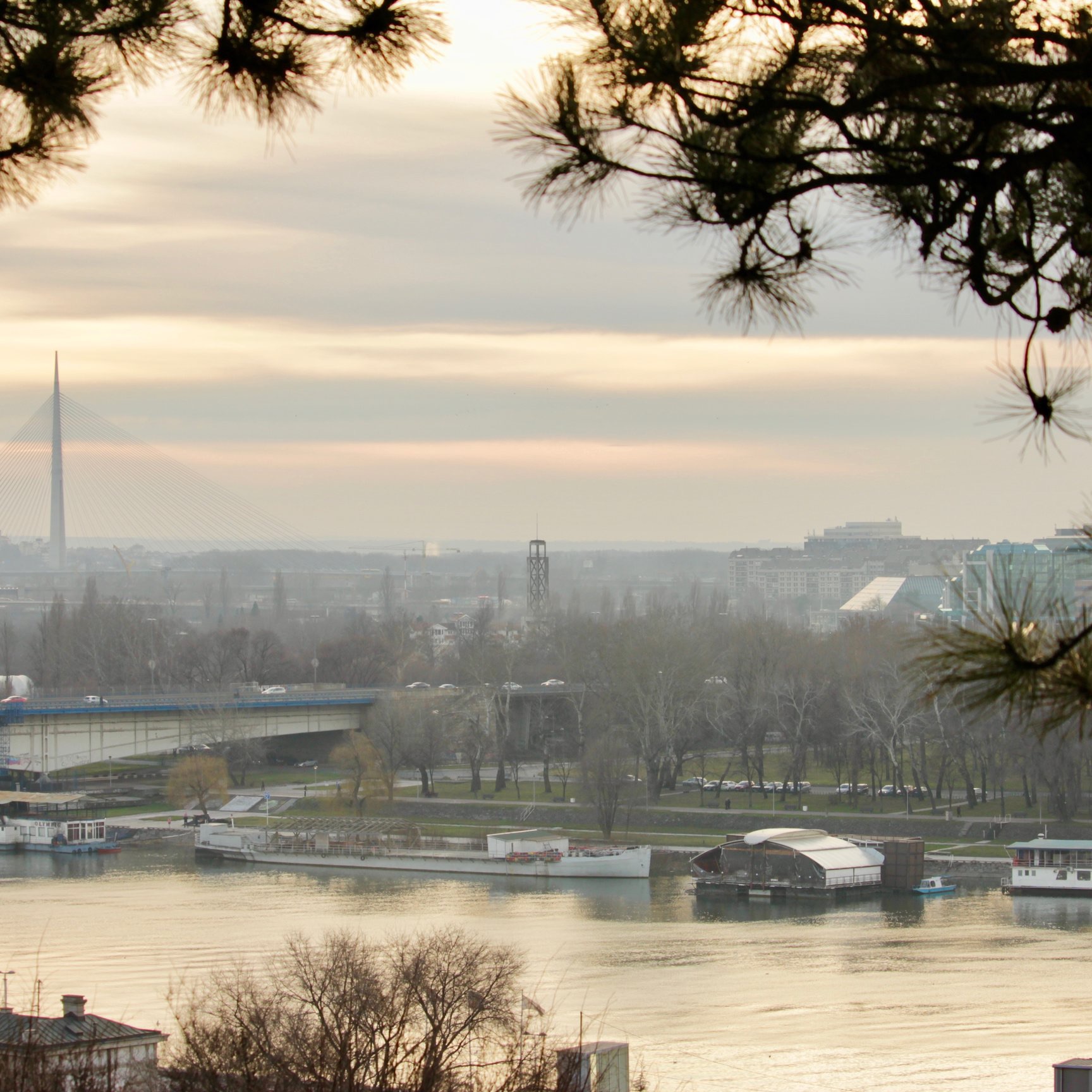Belgrade Life