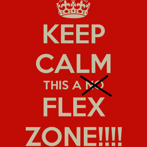 Flex Zone’s avatar