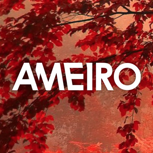 AMEIRO²’s avatar