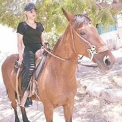 אורטל ארביב