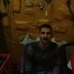 عمرو السيد