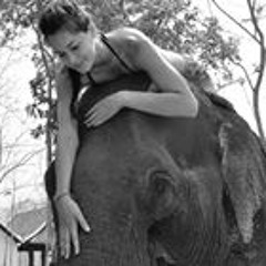 Evelyn Fernandez Suarez